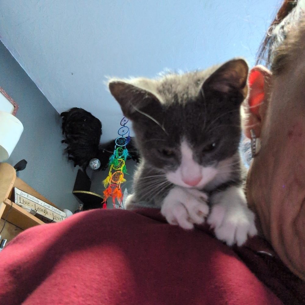 Meet your Posher, Jody